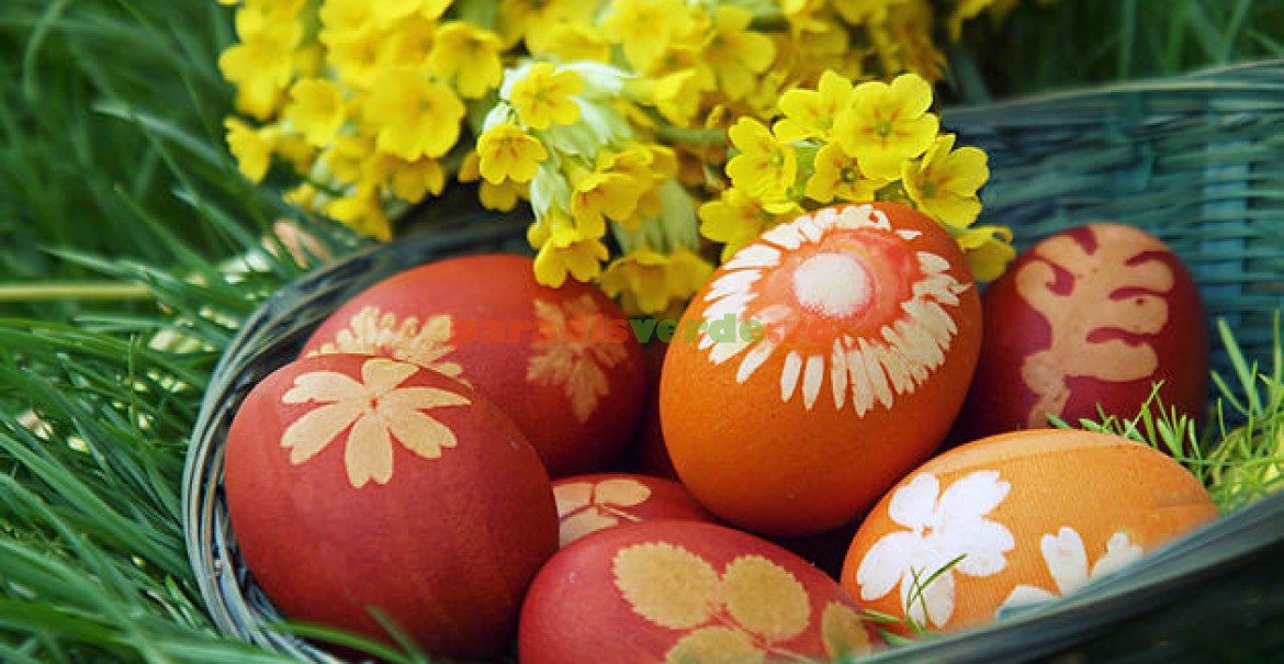 Cum poți prepara cu ușurință vopsea de ouă naturală