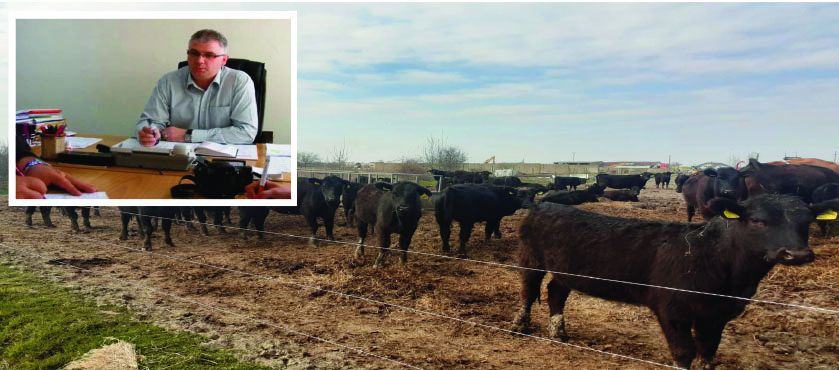 Nababul de la ITM. Taurine  de peste 450.000 euro,  evaziune fiscală și muncă la negru