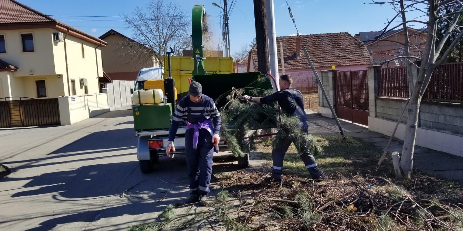Informare privind colectarea deşeurilor vegetale la Vetiş