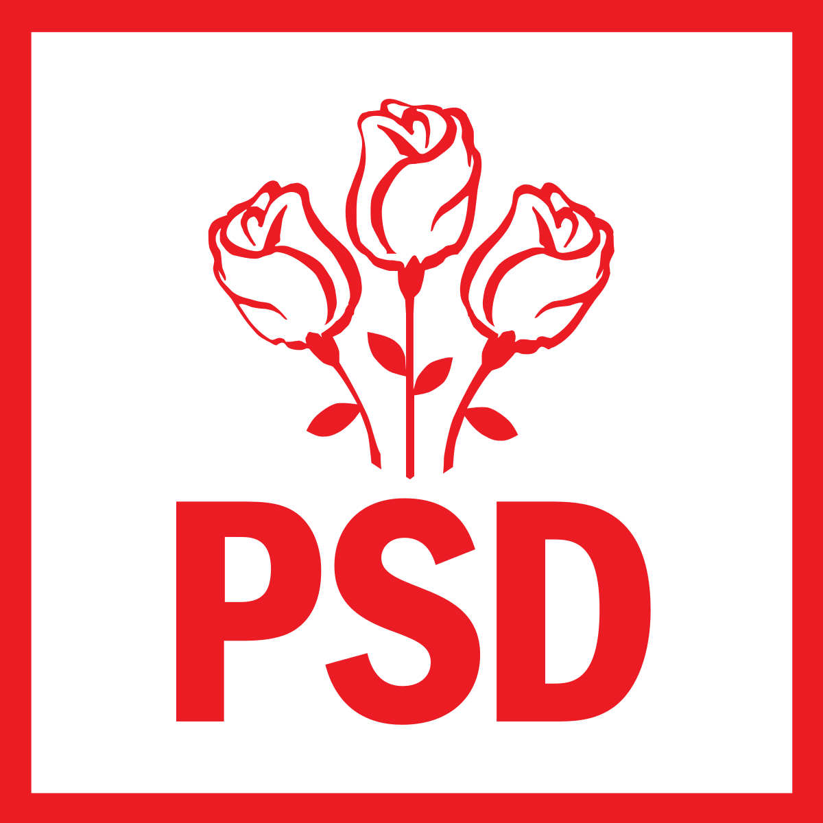 PSD Satu Mare a ales drumul stabilității, prin ample decizii de reorganizare și deschidere către oameni
