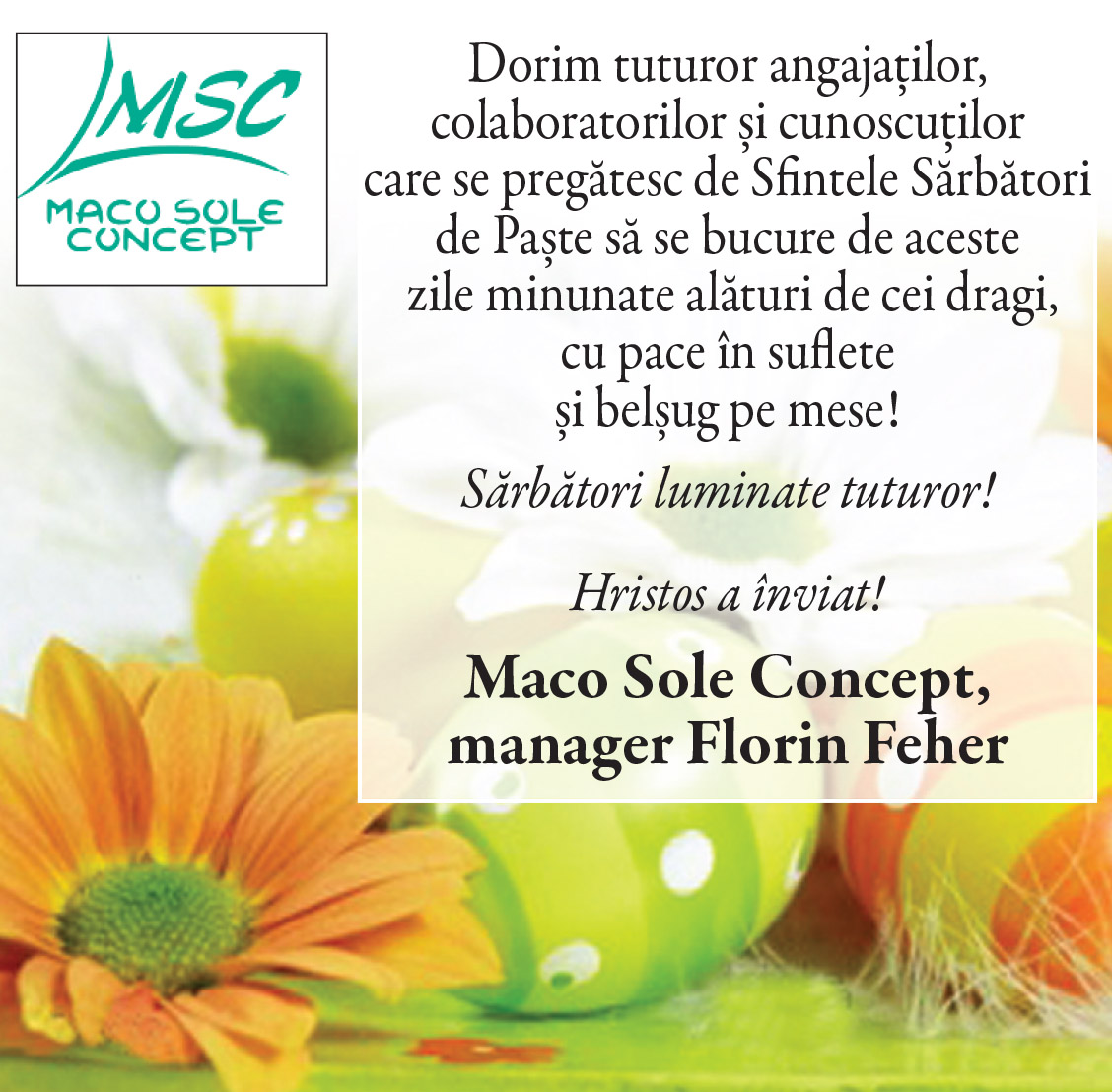 Felicitare de PAŞTE, Maco Sole Concept!