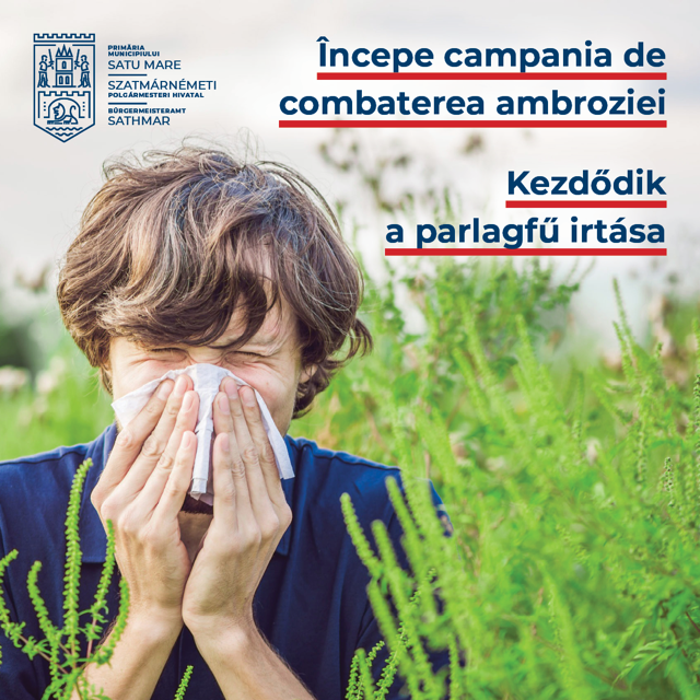 Combaterea ambroziei la Satu Mare