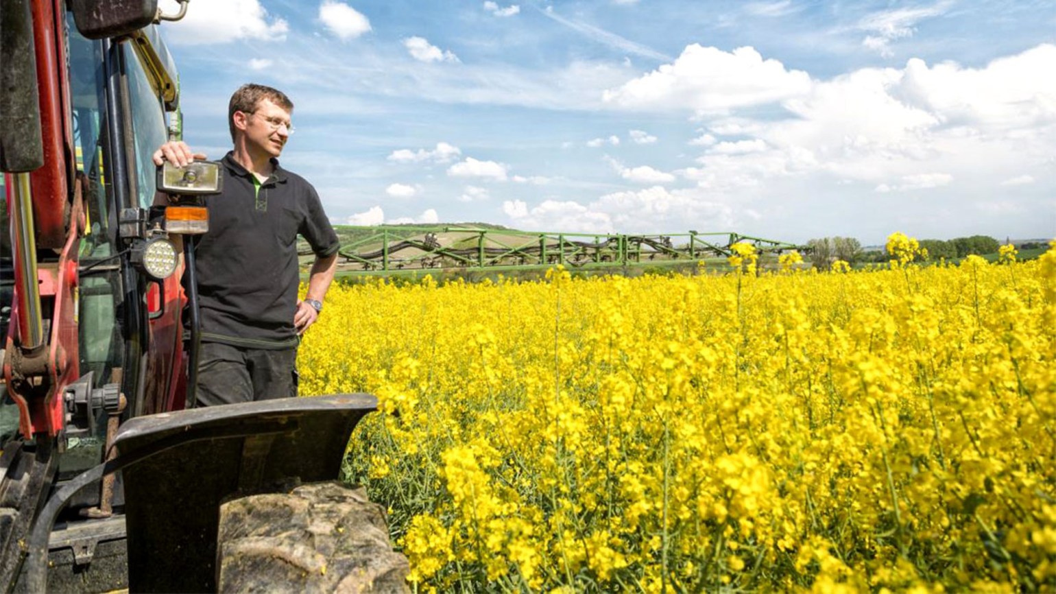 AGRICULTURĂ. Rapița este o plantă care în țara noastră a câștigat teren