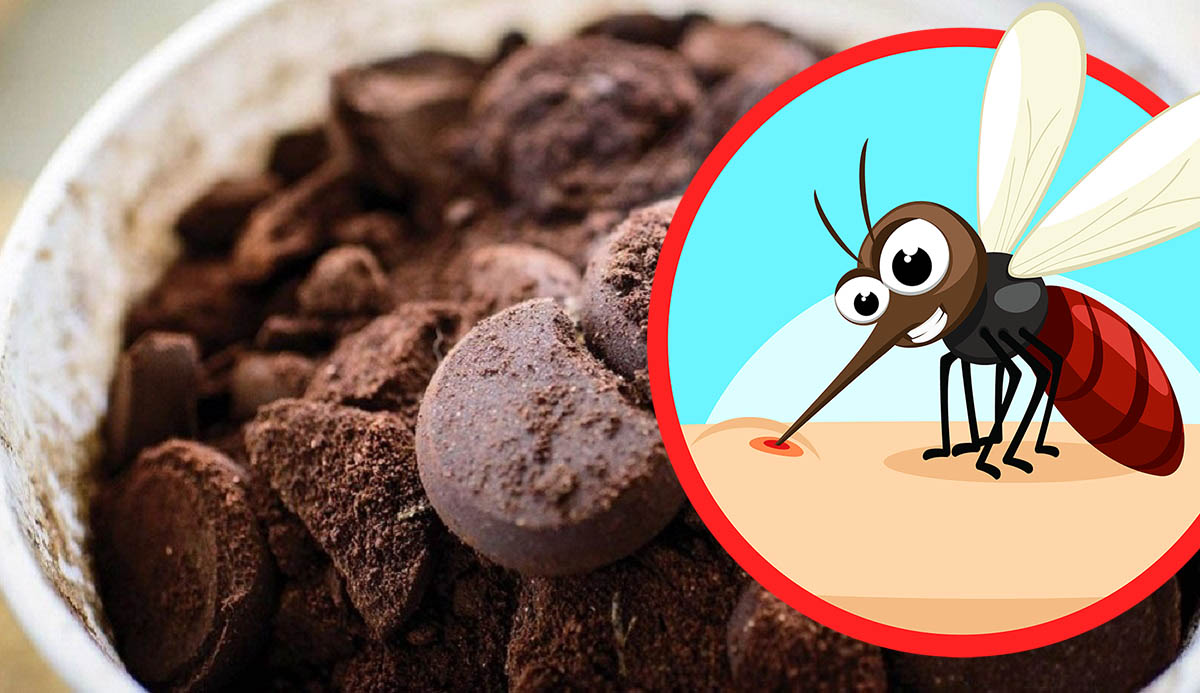 Cum să scapi de țânțari  cu zaț de cafea?