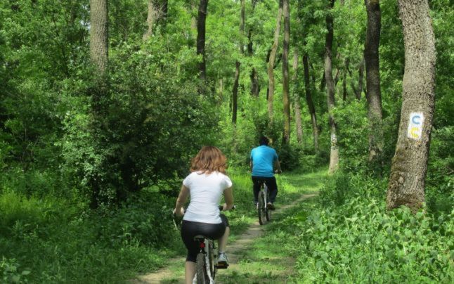 Destinaţii de weekend. O ieşire la iarbă verde în pădurile judeţului Satu Mare