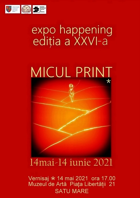 Micul Prinț, mai poposește odată la Satu Mare