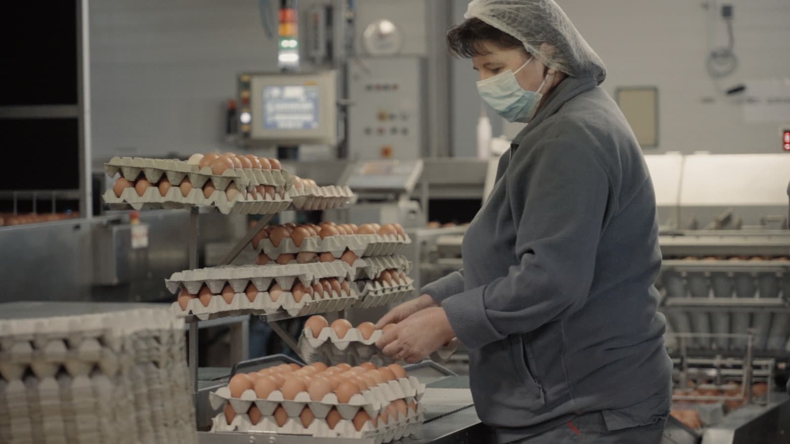 PRO AVIS - țara unde “cotcodac” e mai puternic decât “cucurigu”