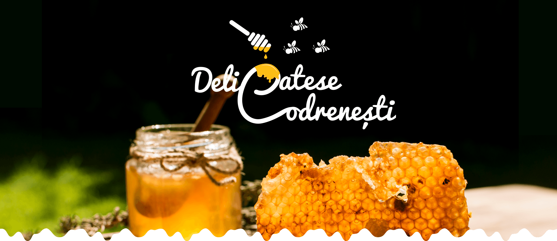 PROIECT EUROPEAN PENTRU APROVIZIONAREA CU PRODUSE APICOLE DIN MICROREGIUNEA SOMEŞ-CODRU S-A FINALIZAT ŞI CU BRANDUL ,,DELICATESE CODRENEŞTI”