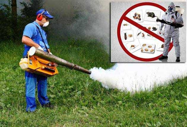 ATENȚIE! Activități de dezinsecție, deratizare și dezinfecție la Tășnad