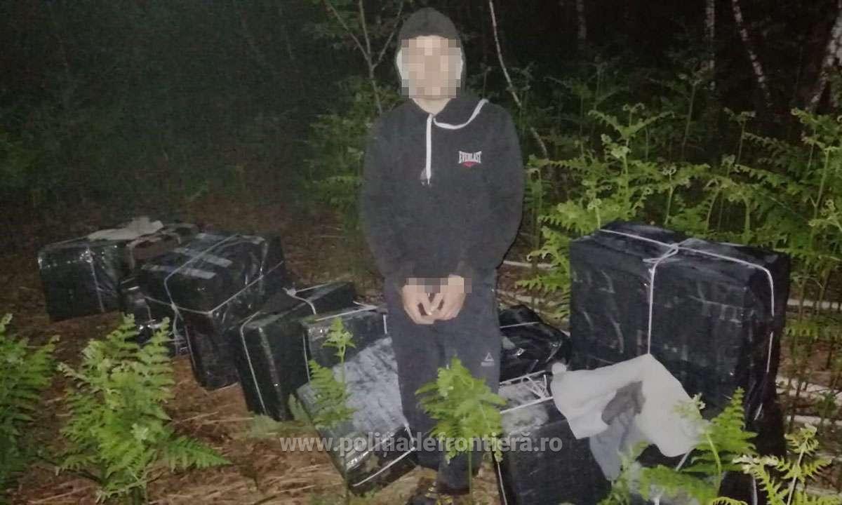 FOTOGALERIE. CAPTURĂ IMPRESIONANTĂ în ȚARA OAȘULUI