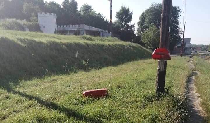 Nesimțiți avem peste tot...