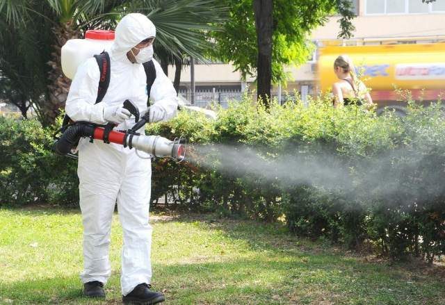 Acțiuni de dezinsecție la Satu Mare