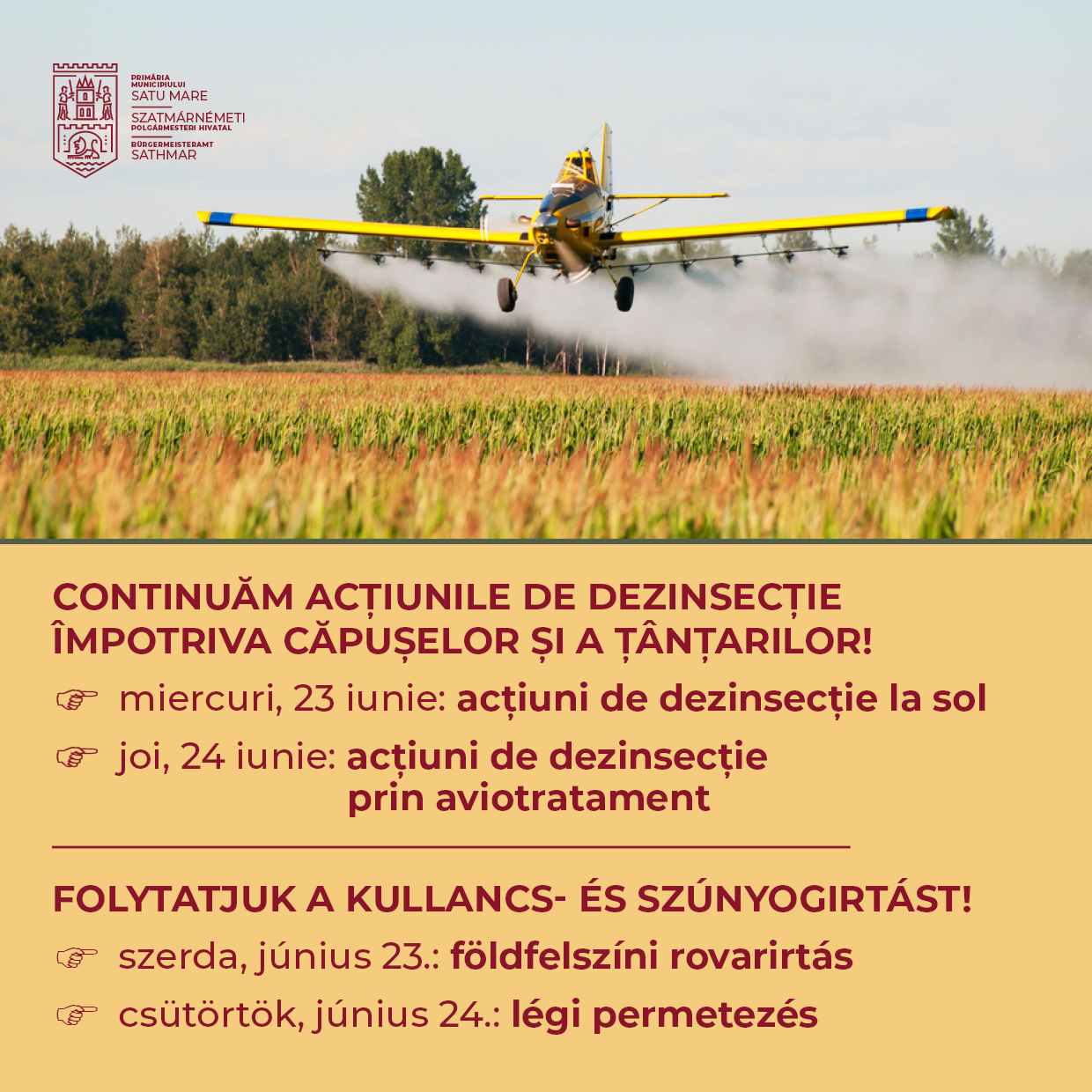 Acțiune de dezisnecție  la Satu Mare