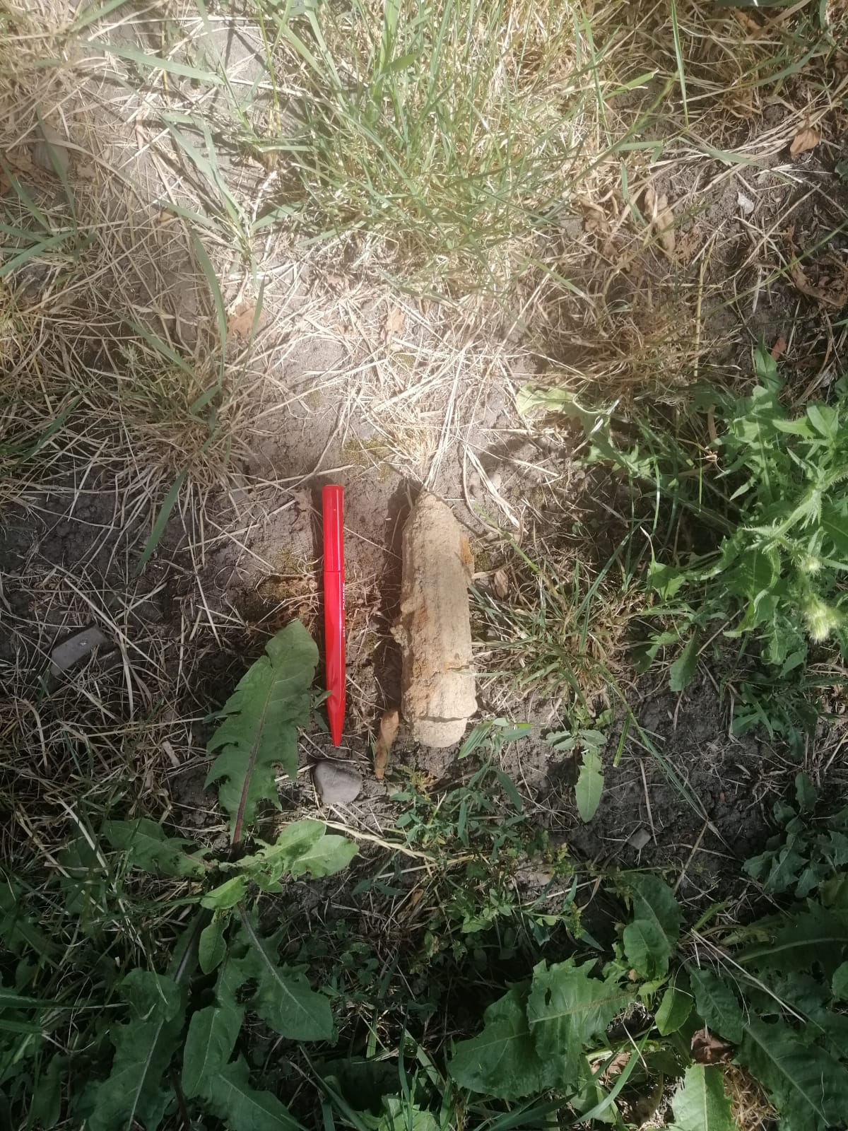 Proiectil găsit în Hurezu Mare