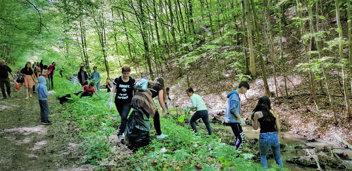 Rezultatele acțiunilor de igienizare dedicate Zilei Mondiale a Mediului