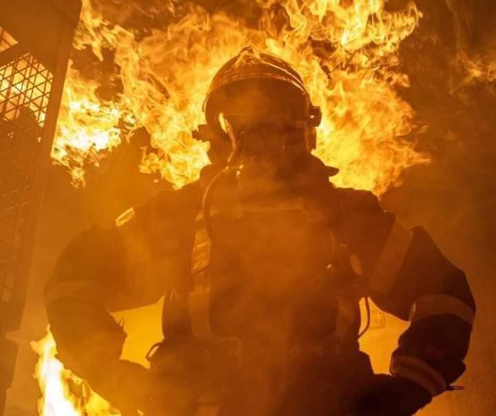 Animale arse de vii într-un inccendiu din Săuca