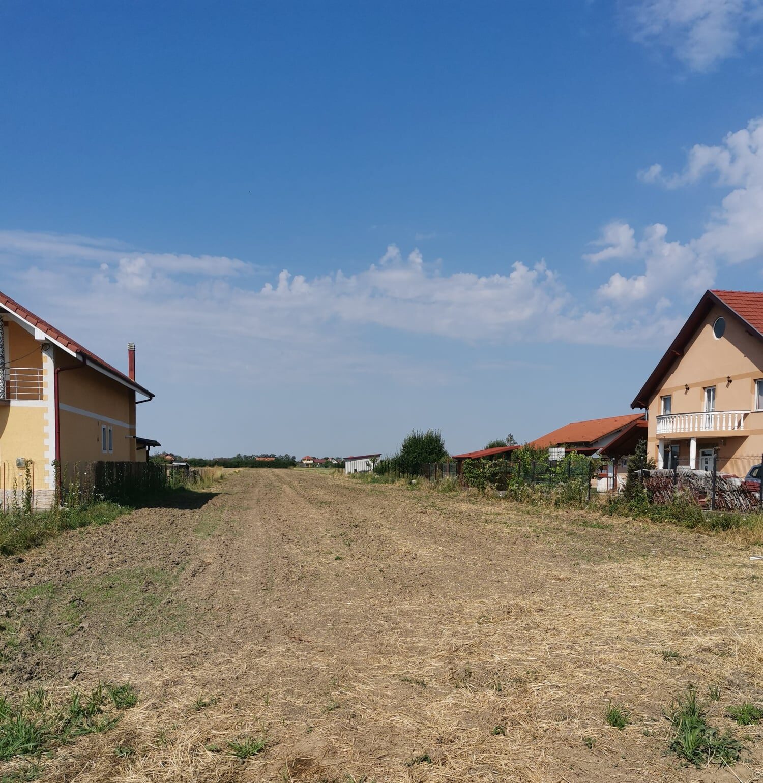 Acțiunile de combatere a ambroziei în Vetiș