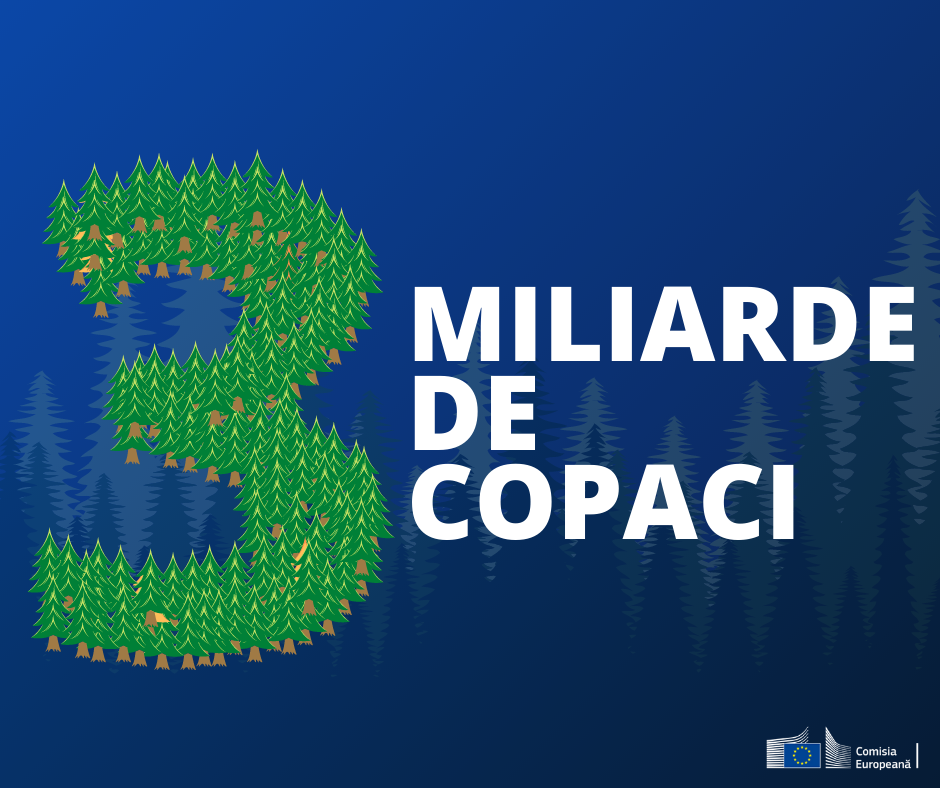Strategia UE: Trei miliarde de copaci potriviți se vor planta la locul potrivit în scopul potrivit