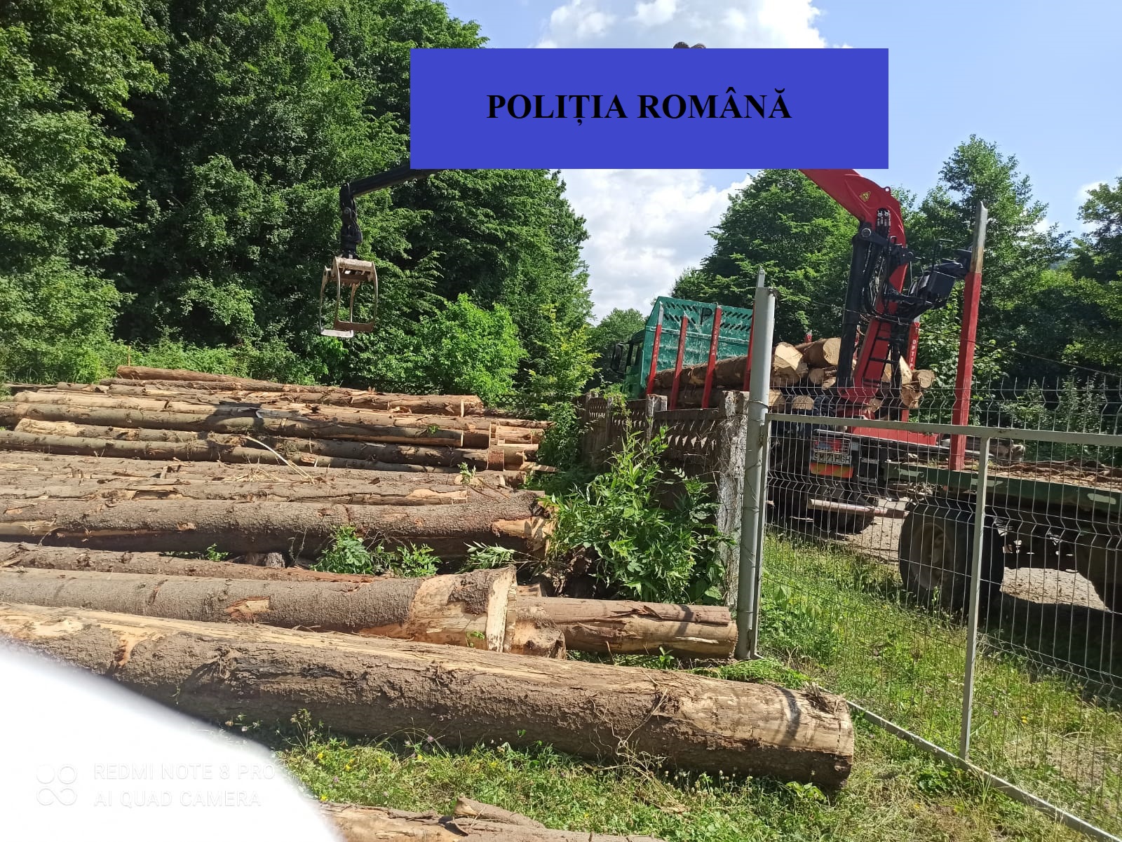 Șapte unități economice cu obiect de activitate silvică, verificate