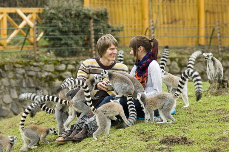 Zoo Nyiregyhaza – una dintre cele mai faine grădini zoologice din Europa, la un pas de Satu Mare