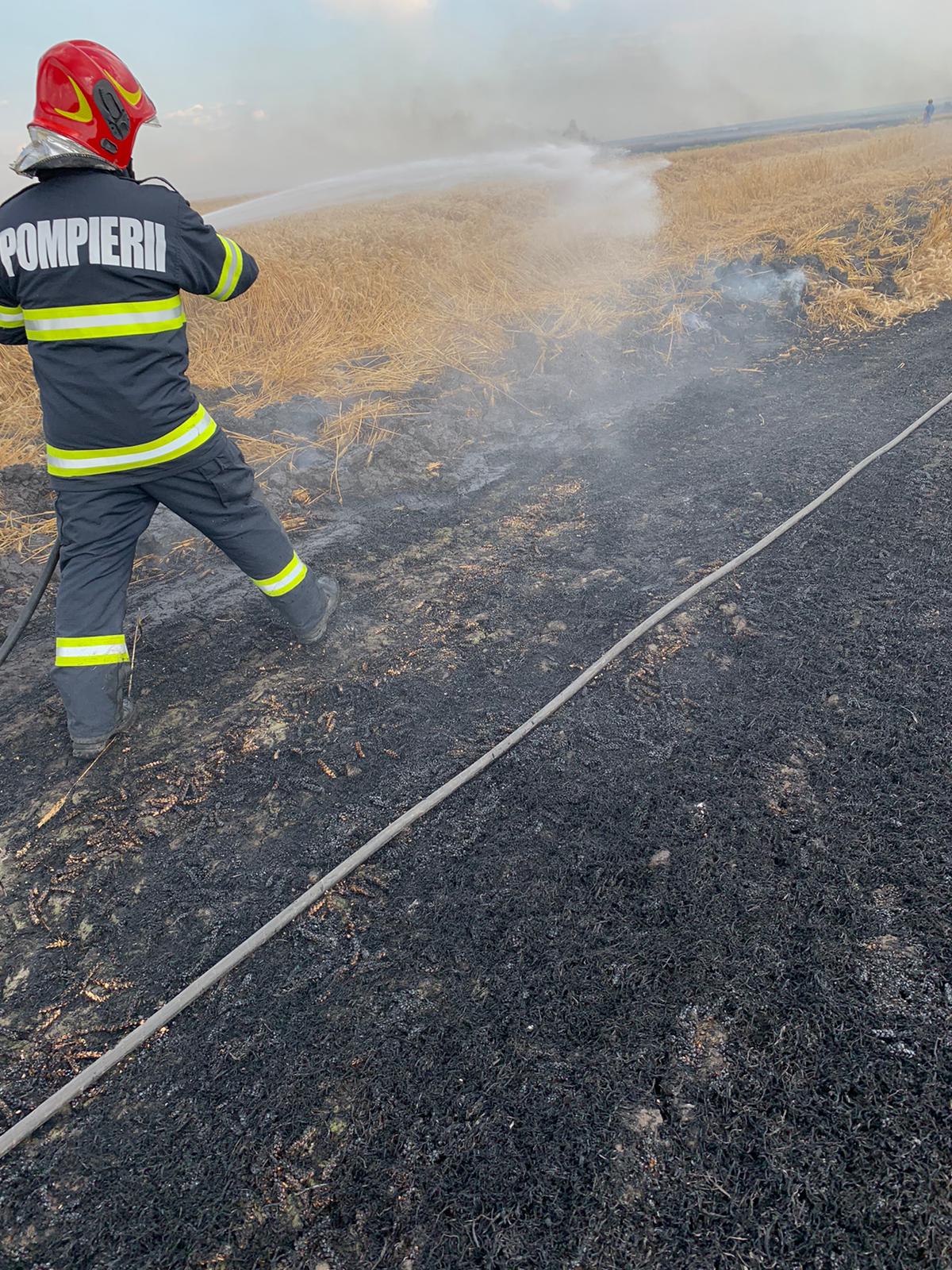 Incendiile continuă!!