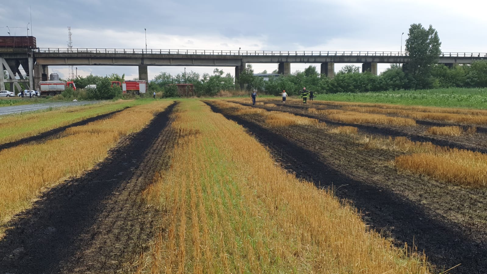 Interdicții privind arderea vegetației ierboase