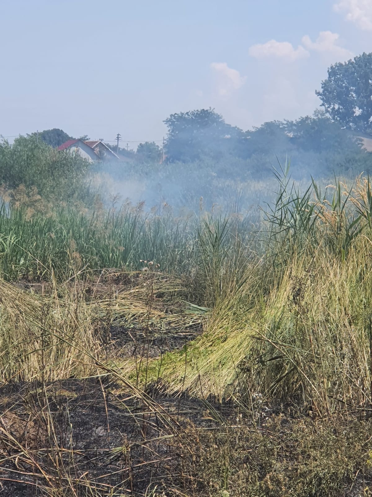 Incendiile continuă!!