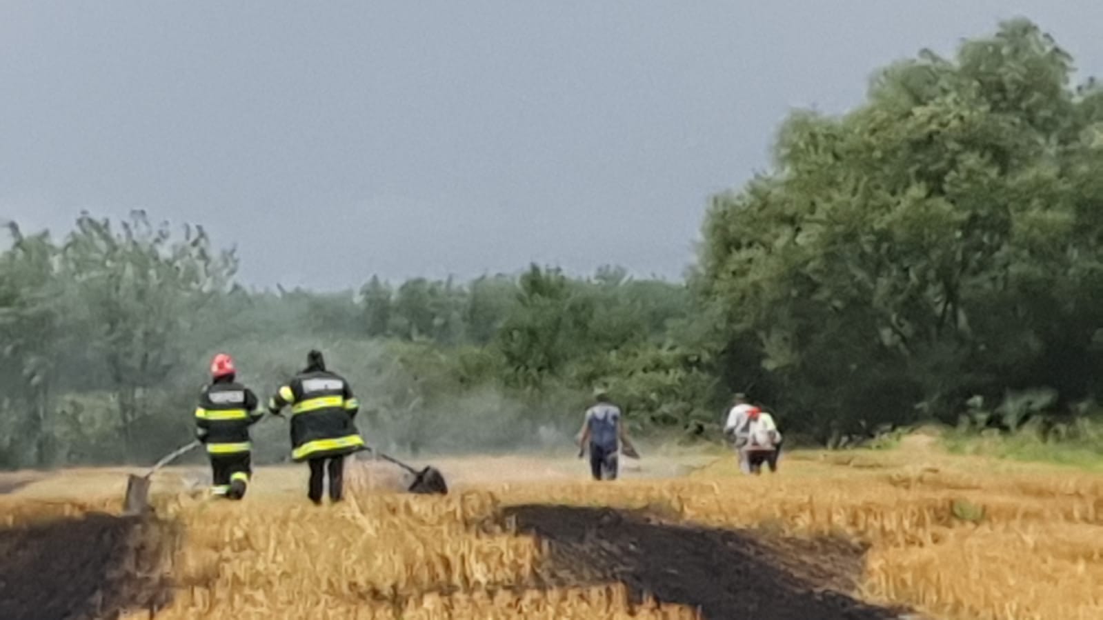 A ars tot câmpul !!!