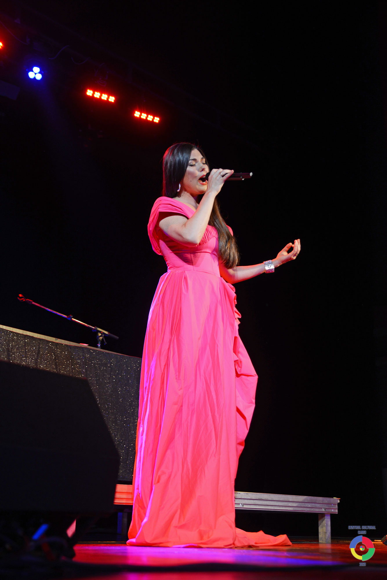 Paula Seling a făcut senzație la Carei!