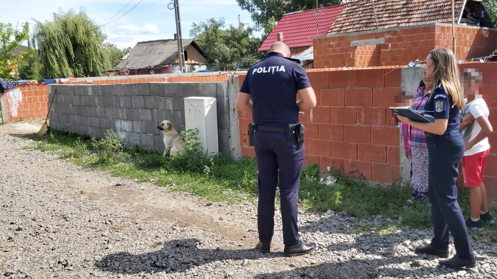 Activitate de informare și prevenire pentru protecția animalelor