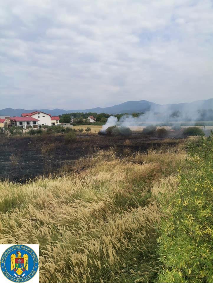 Incendiu la ieșirea din Negrești-Oaș