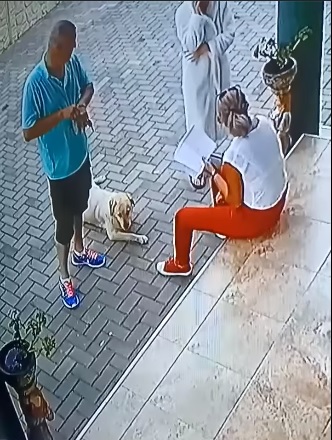 Escrocherie, regie sau scenariu de film?!