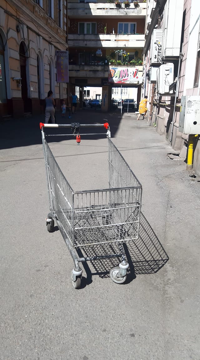 Cine a lăsat căruciorul  în drum, a fost sau nu   om nebun?