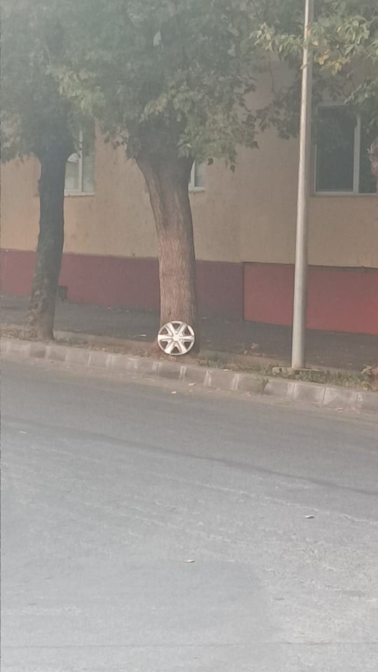 Odihnă lângă copac