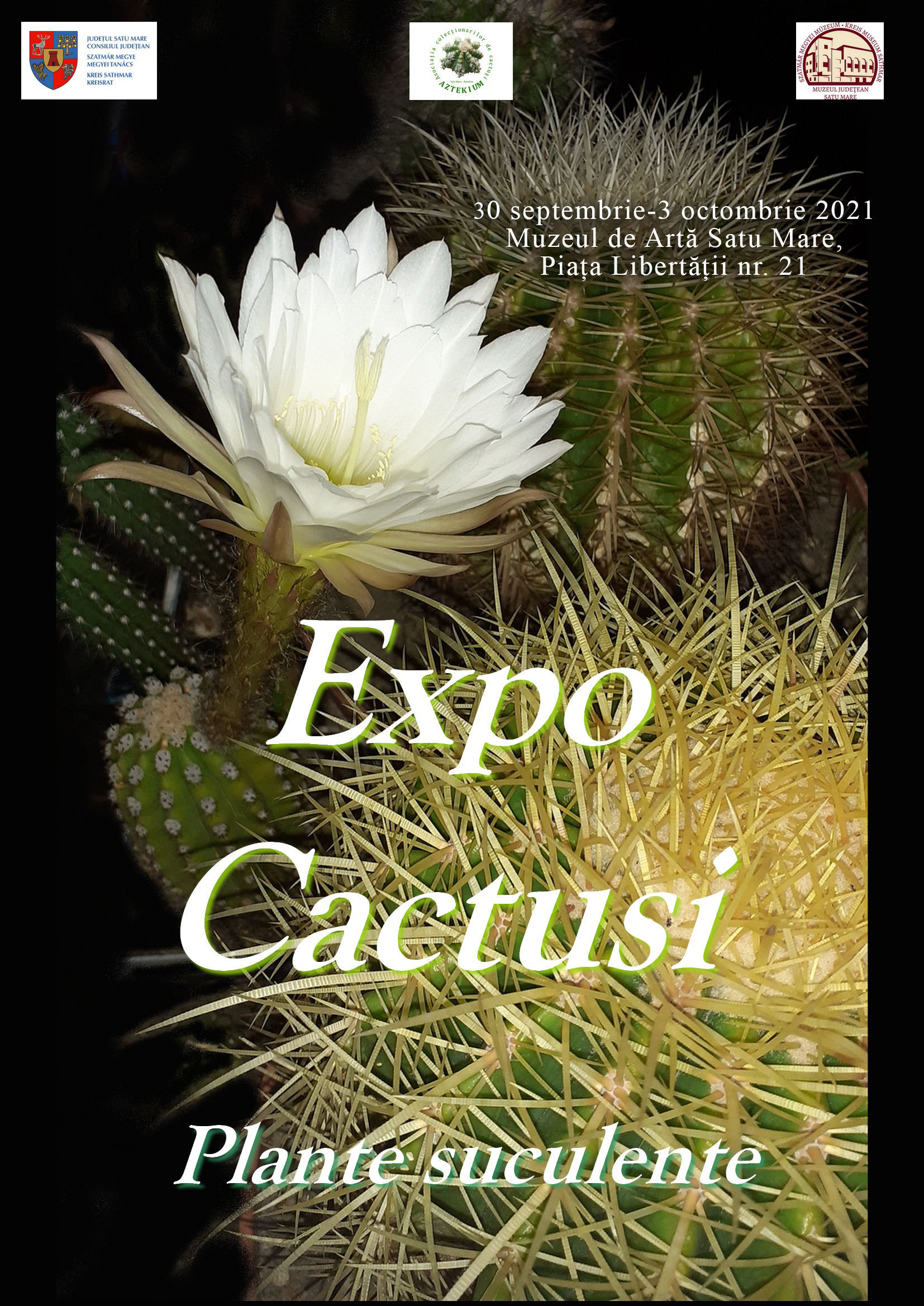 Expoziție de cactuși și plante suculente