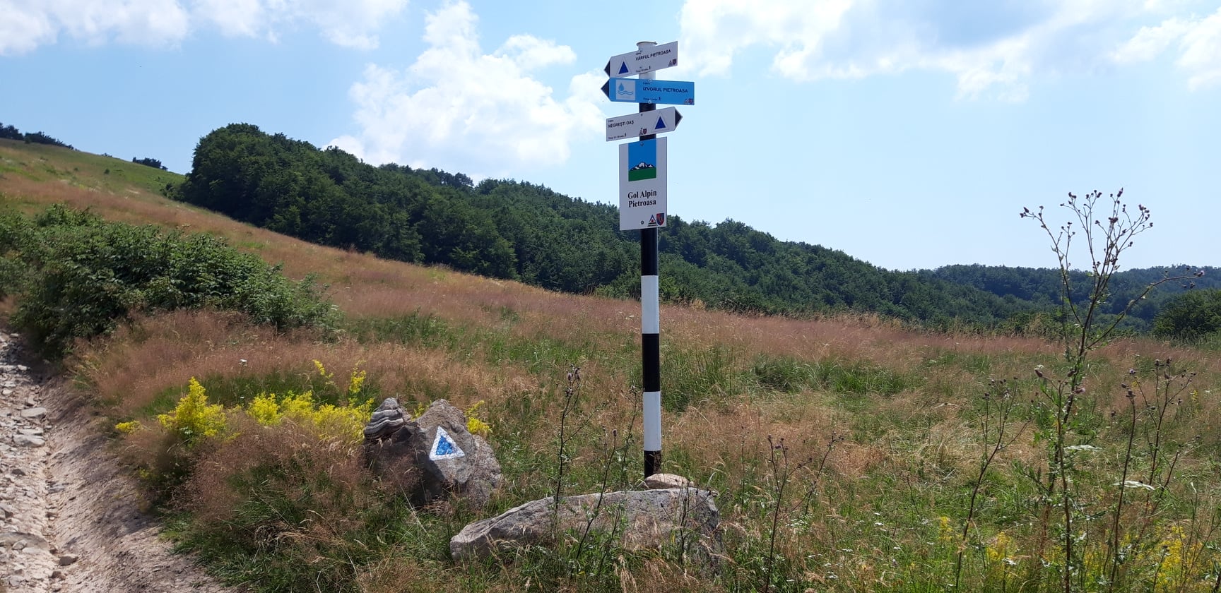 Destinaţii de weekend. Salvamont Satu Mare informează că toate traseele montane omologate sunt deschise. Piatra Tâlharului, cea mai nouă destinaţie introdusă în circuitul turistic