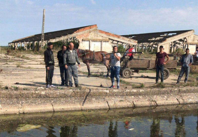 TRAGEDIE. Gestul făcut de o fată de 15 ani cu preţul vieţii