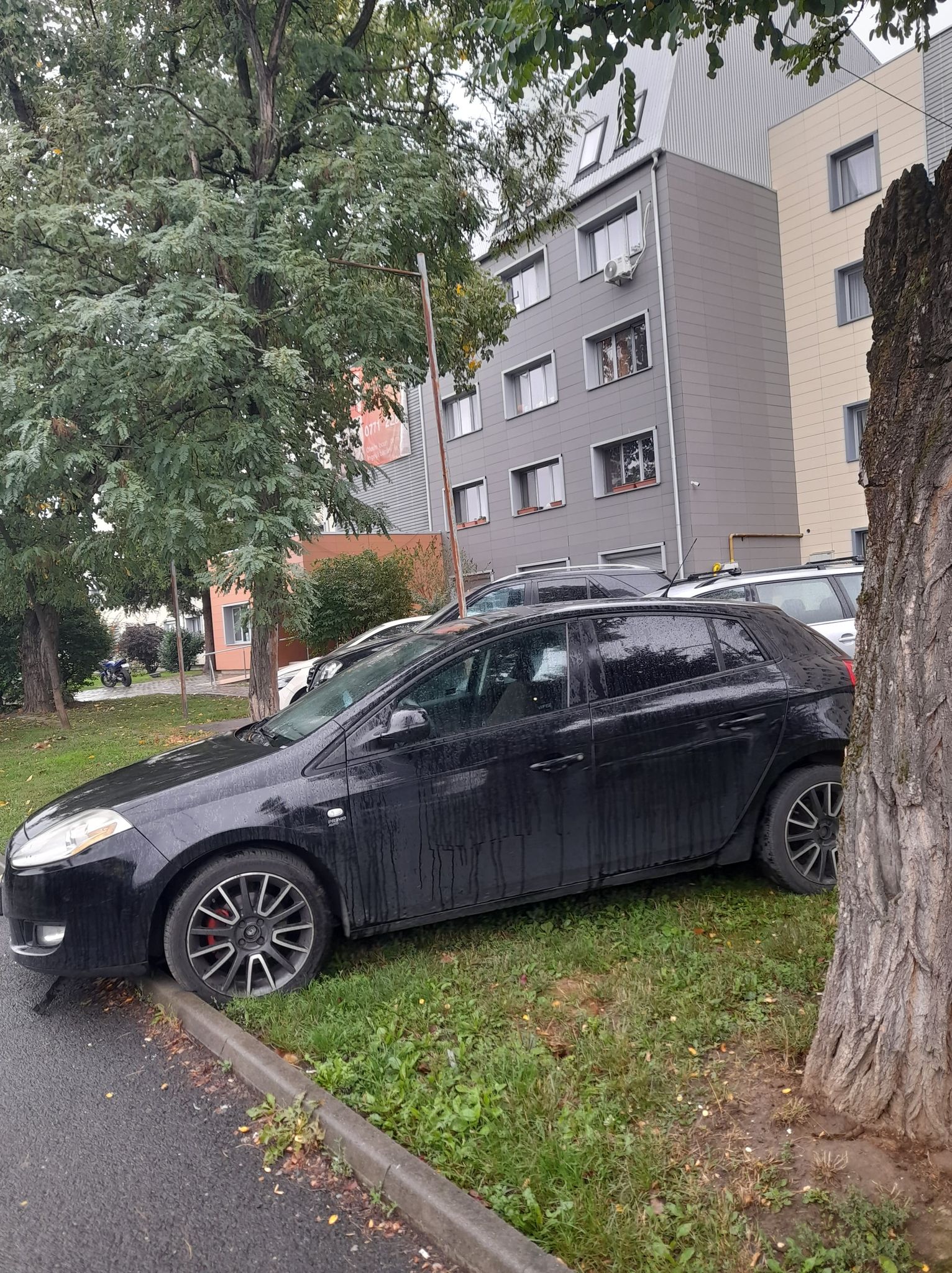 Pe lângă plopii fără soț...