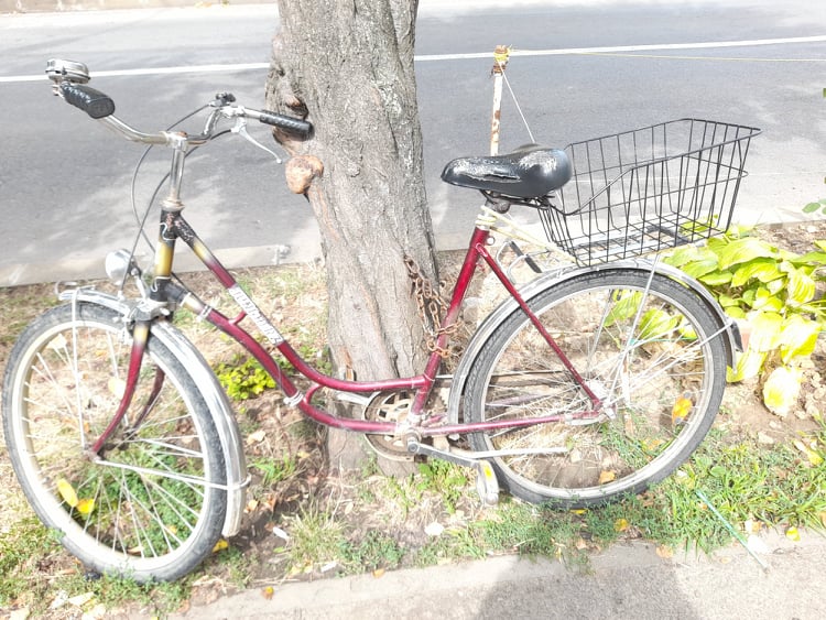 Apa trece, bicicleta rămâne