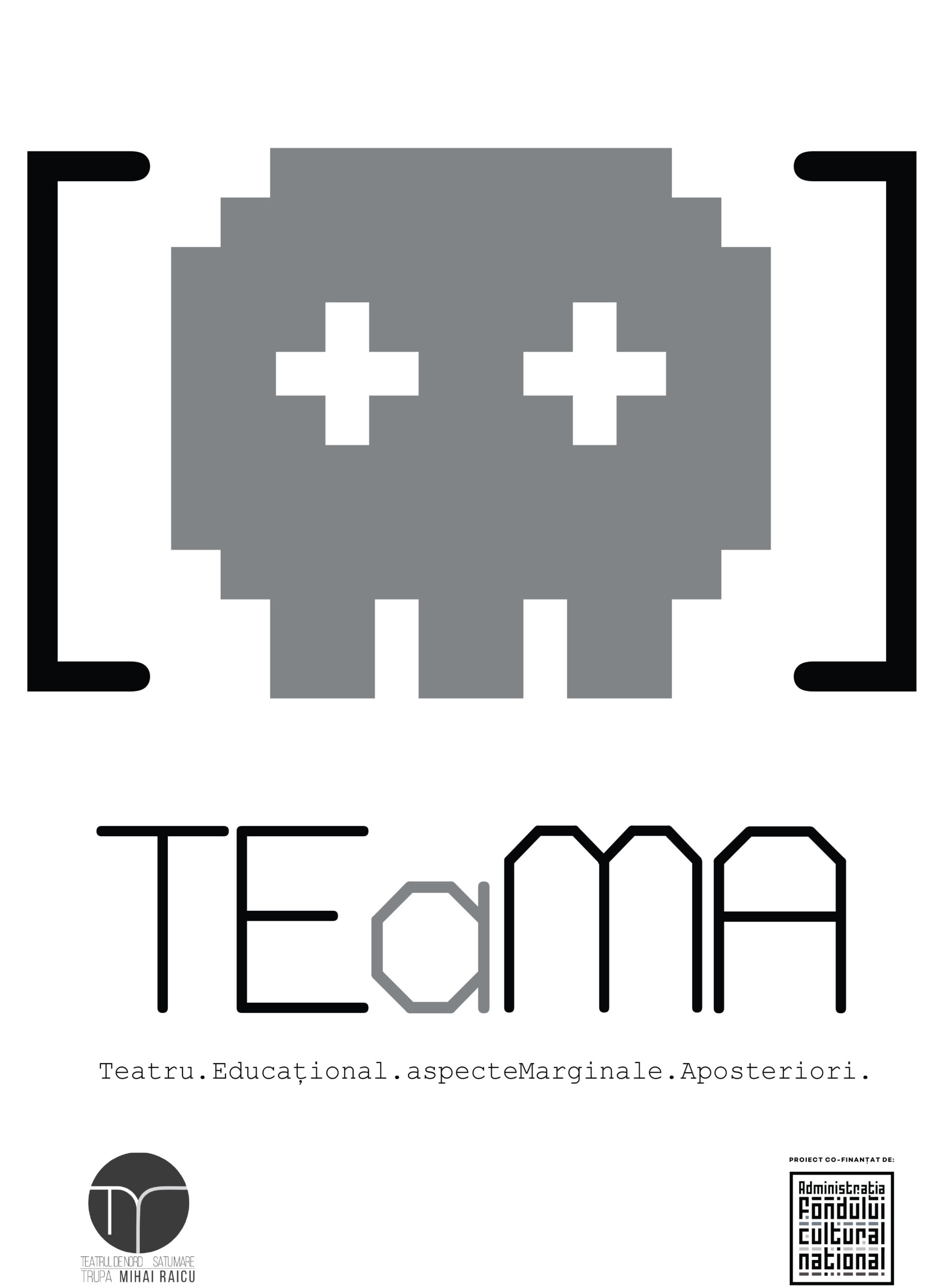 Un proiect de educație prin cultură se va realiza în această toamnă la Teatrul de Nord