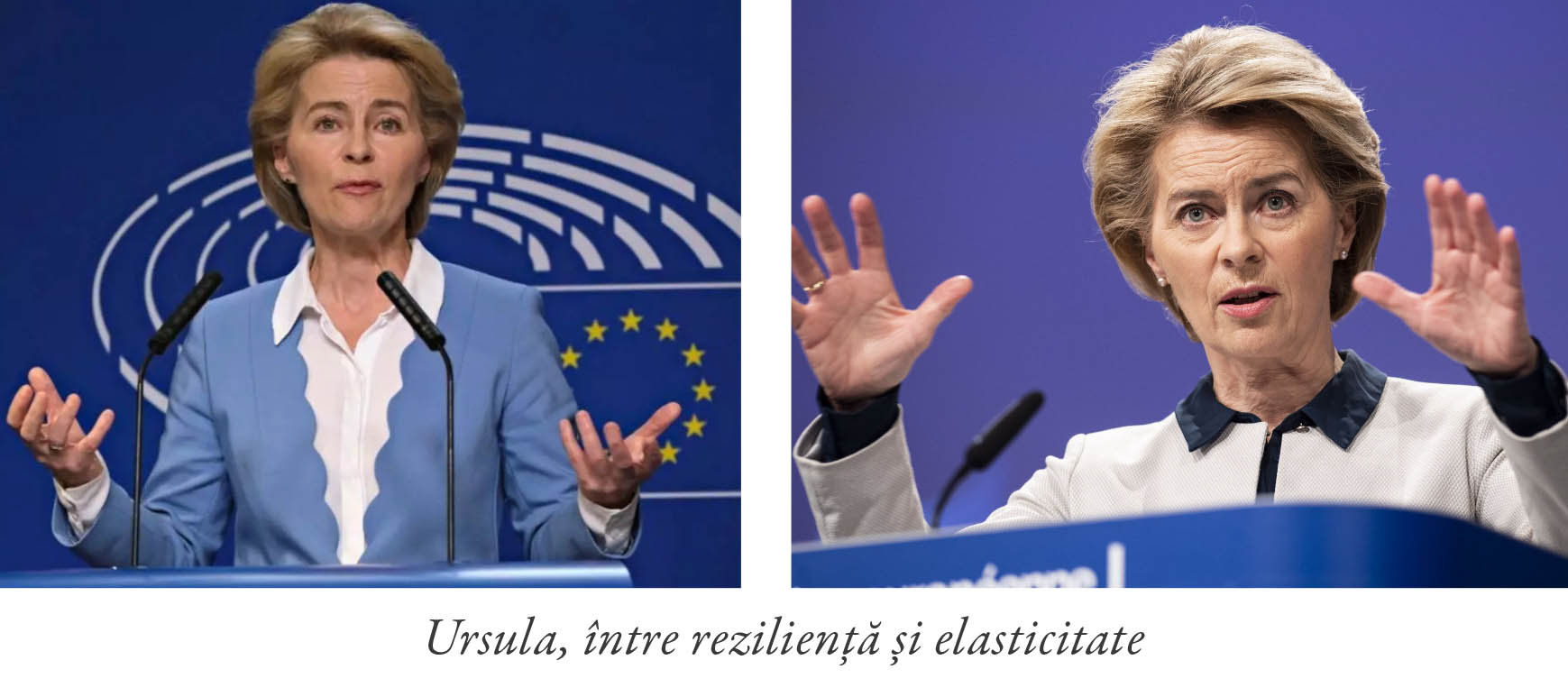 Reziliență (rupere la șoc) sau elasticitate (revenire după șoc)? Europa se vrea cementată și călită