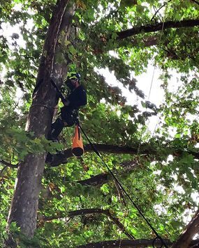 Sisteme de cabluri montate în Grădina Romei