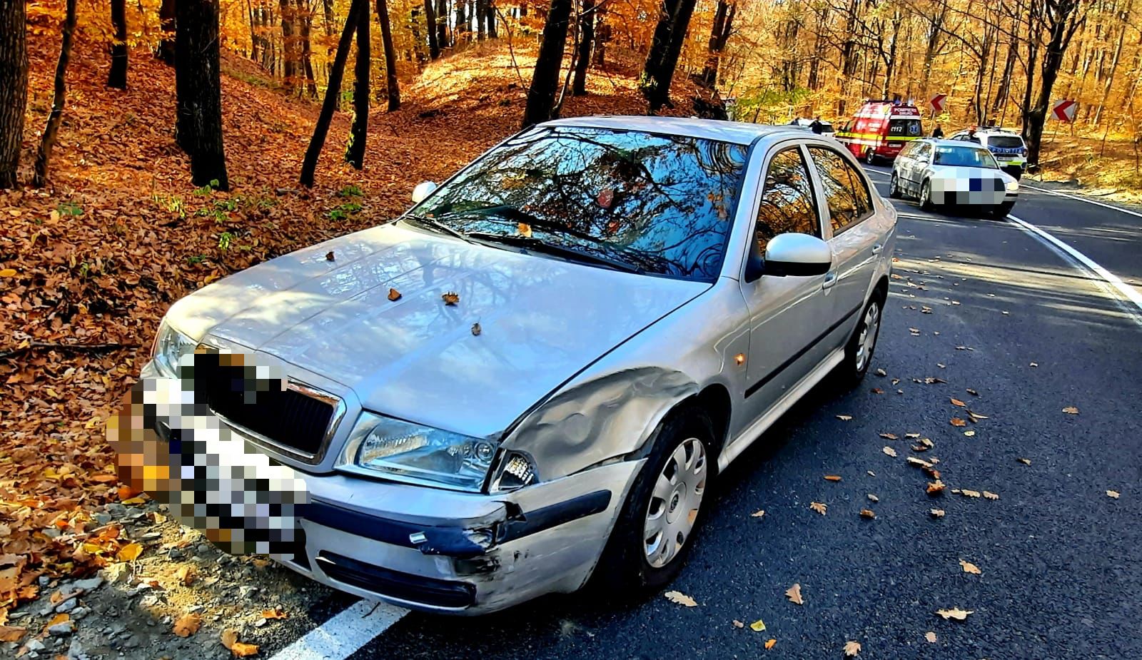 Accident rutier în pădurea Mujdeni