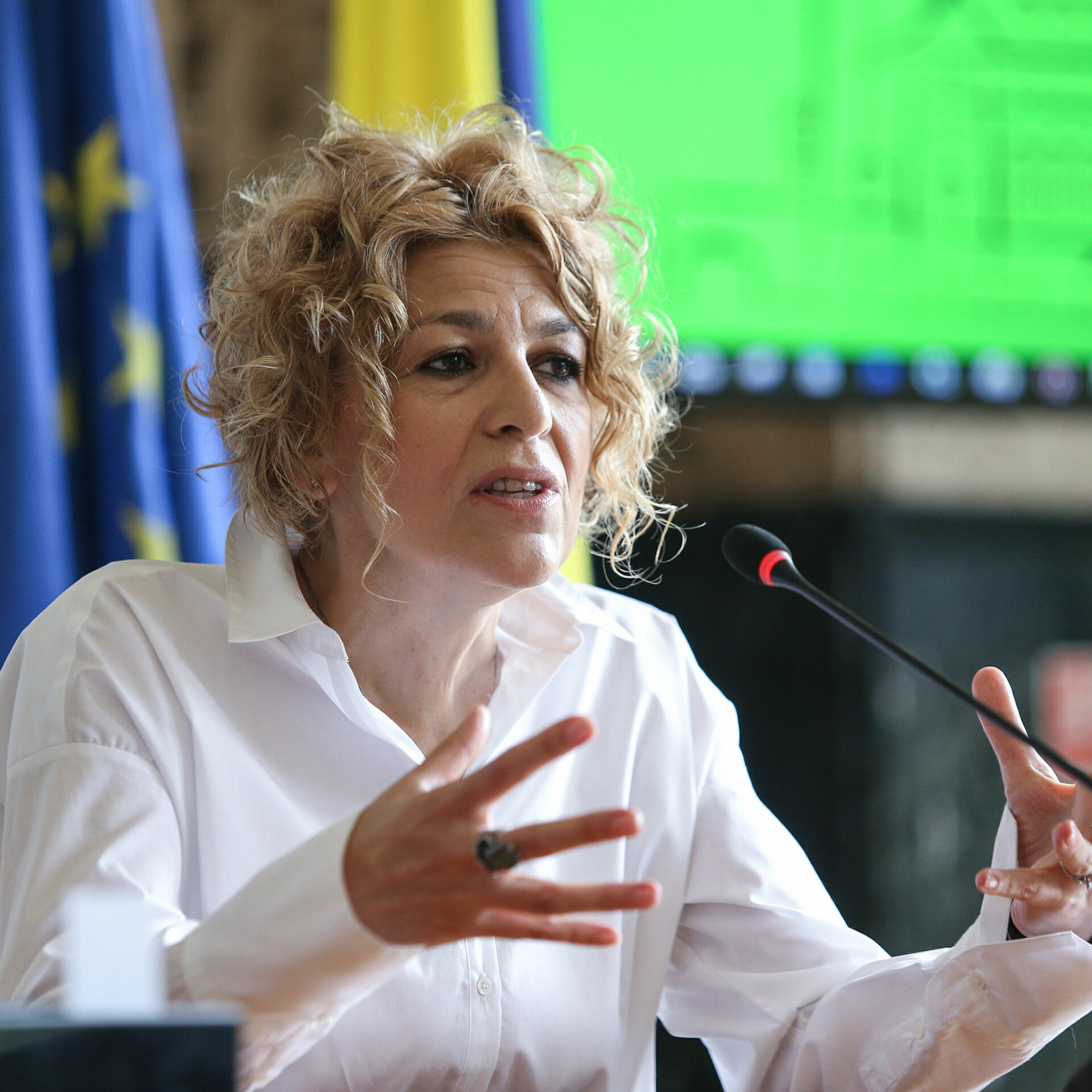 Carmen Avram: Delegația Română PSD votează pentru protejarea intereselor fermierilor români în Parlamentul European