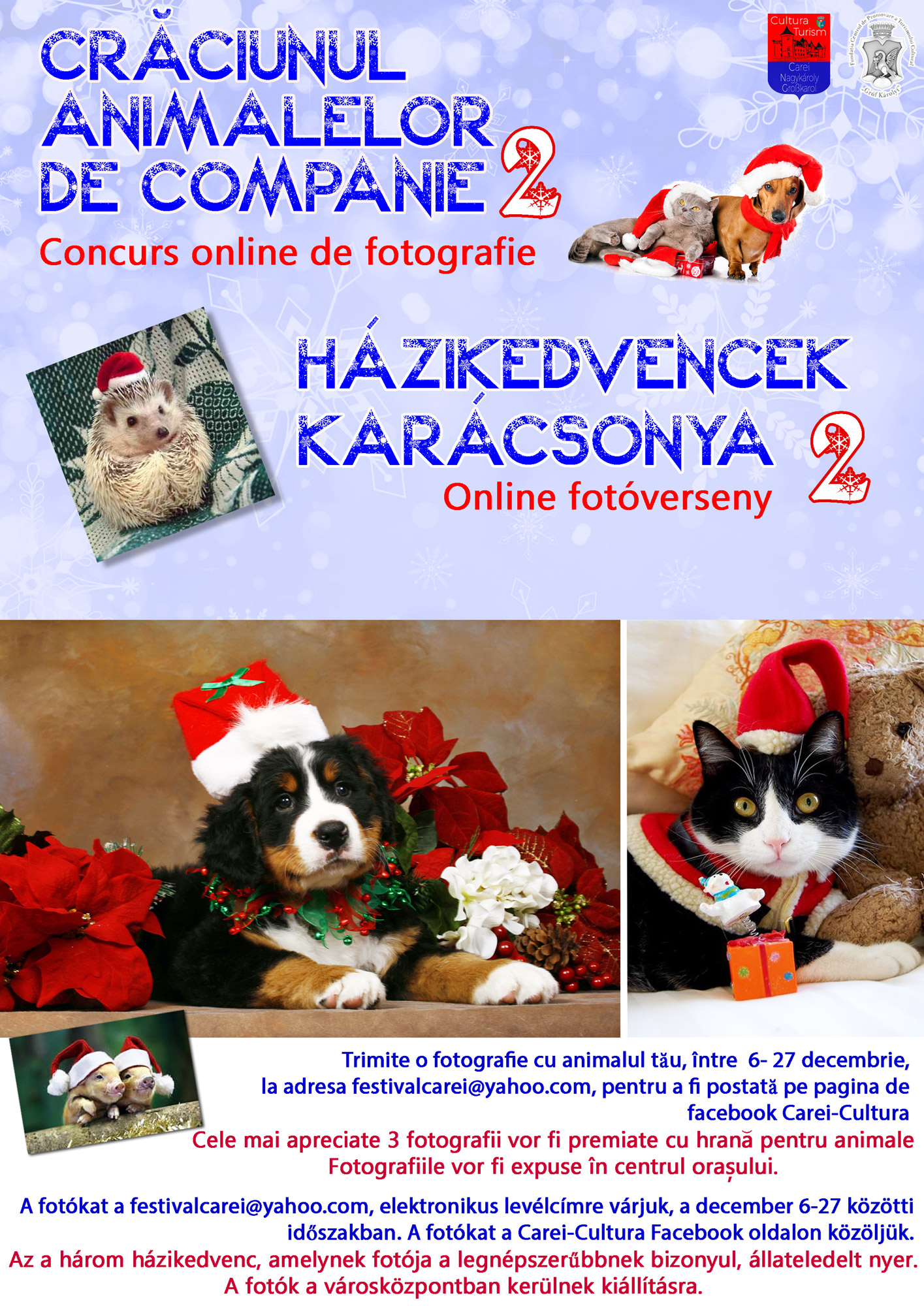 Ediția a II-a a CONCURSULUI ONLINE - DECEMBRIE 2021 – CRĂCIUNUL ANIMALELOR DE COMPANIE