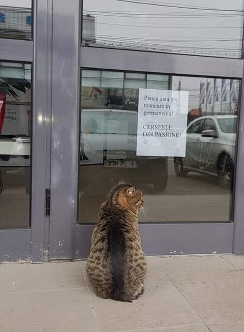 Când mâncarea este o pasiune...