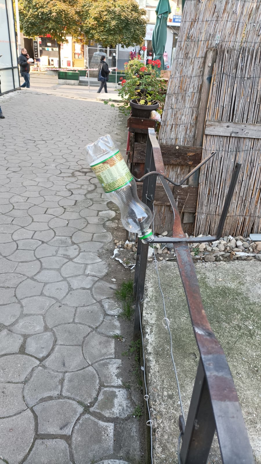 Nonconformistul sătmărean