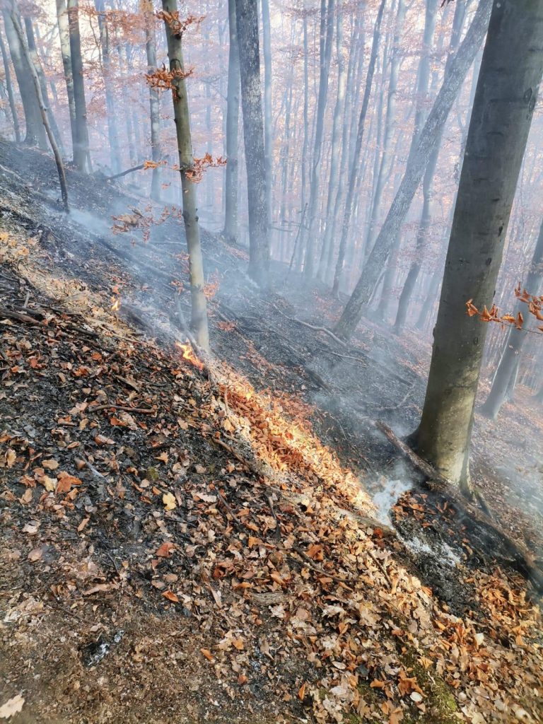 Incendiu de amploare în județ de la o țigară aprinsă aruncată la întâmplare