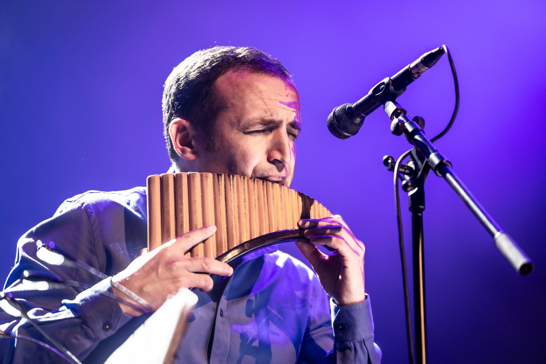 Naiul lui Cezar Cazanoi bucură sufletul sătmărenilor cu deferență față de România