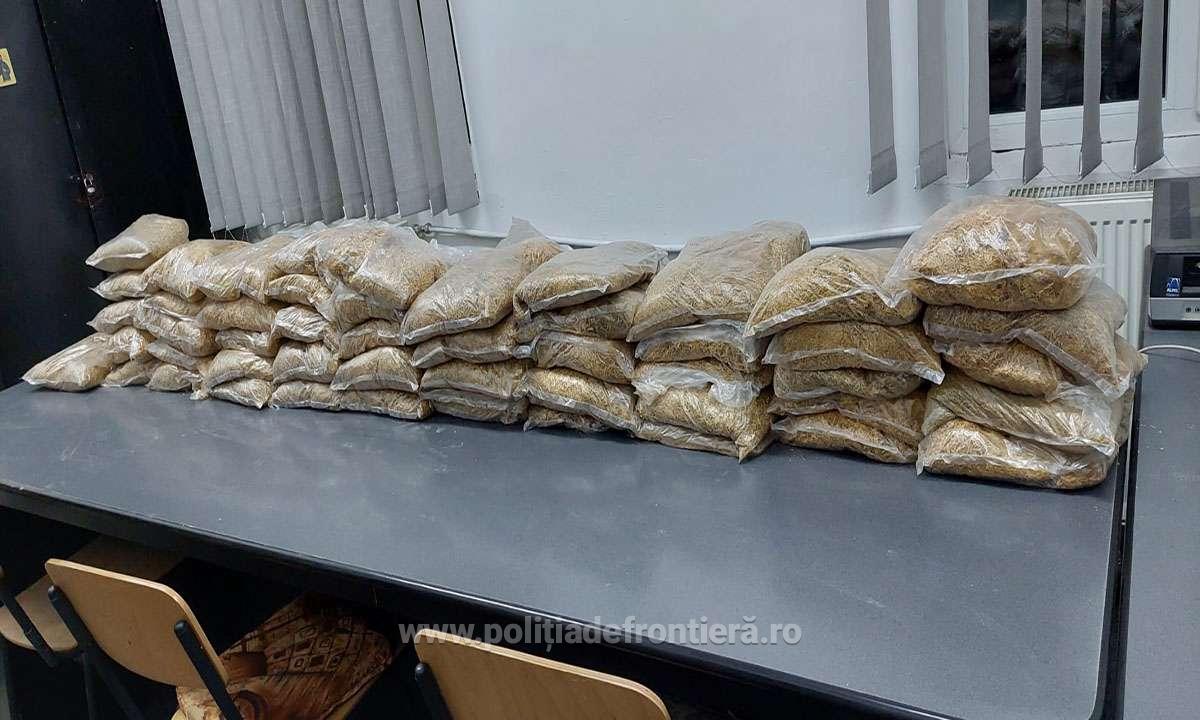 CAPTURĂ impesionantă la Urziceni